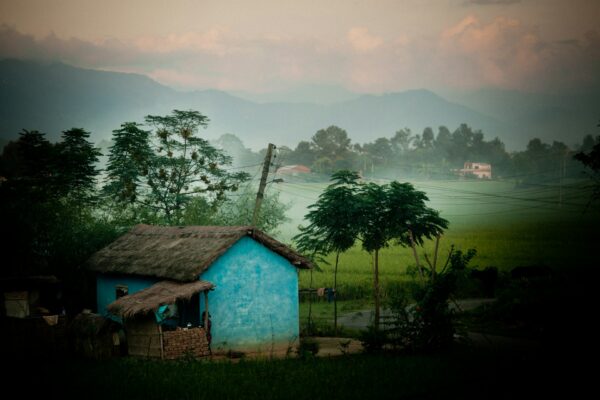 Chitwan - Image 3