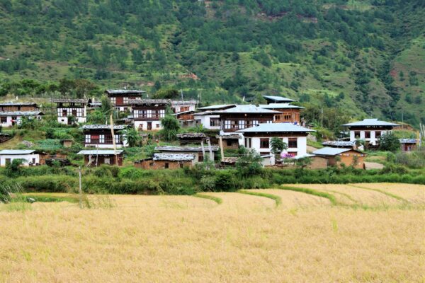 Punakha