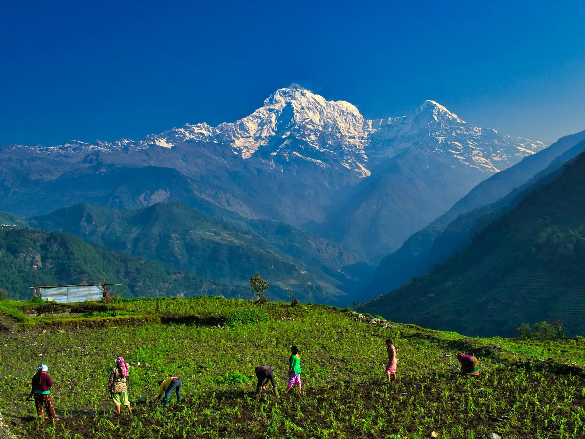 Himalayas in Nepal