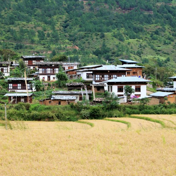 Punakha